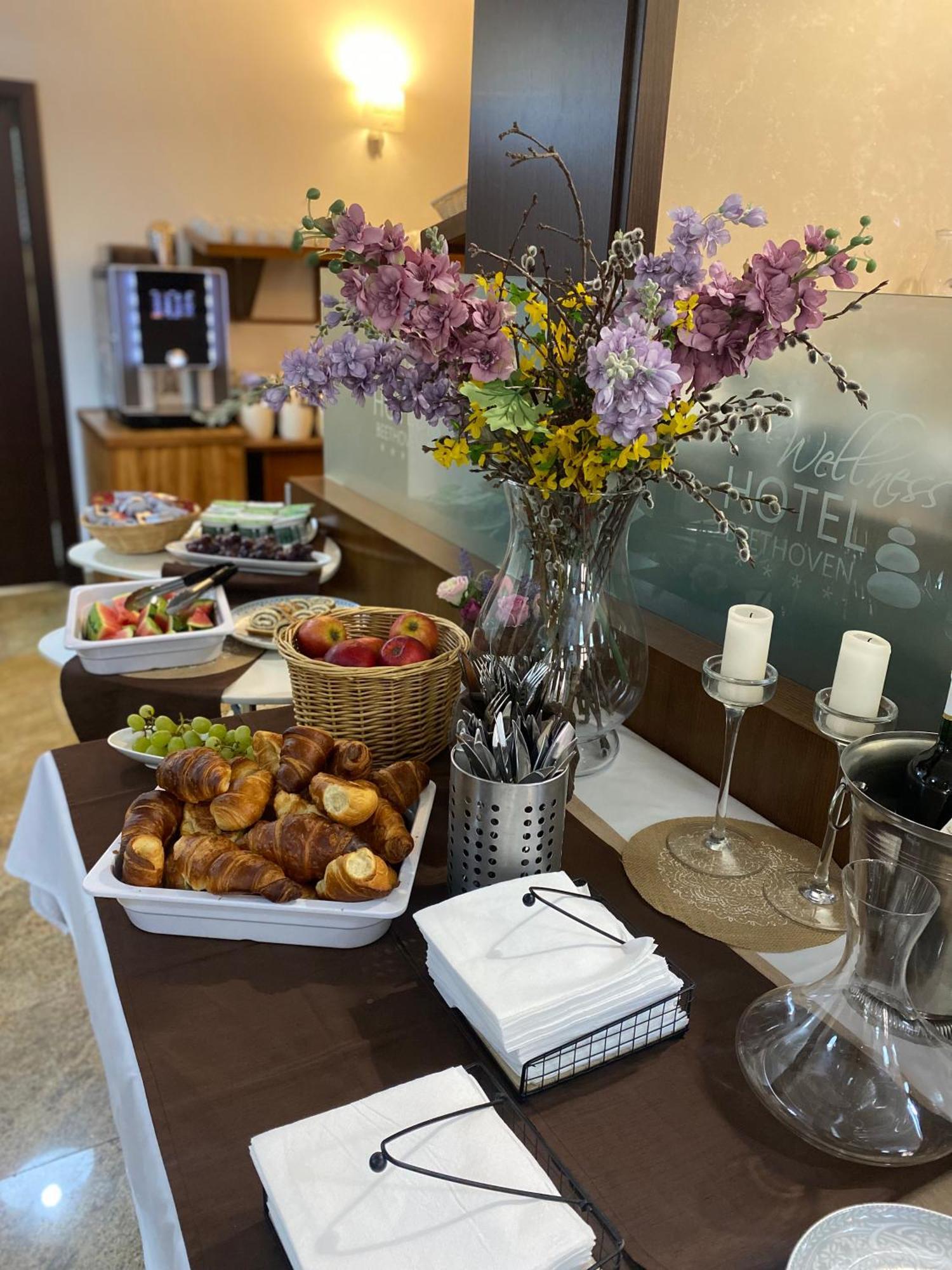 Hotel Wellness Beethoven Chomutov